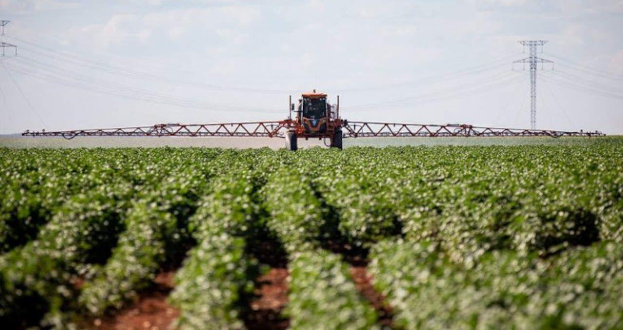 Governo suspende linhas de crédito do Plano Safra 2024/2025