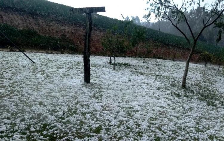 Granizo atinge o Alto Vale pelo segundo dia seguido; agricultores estimam prejuízos