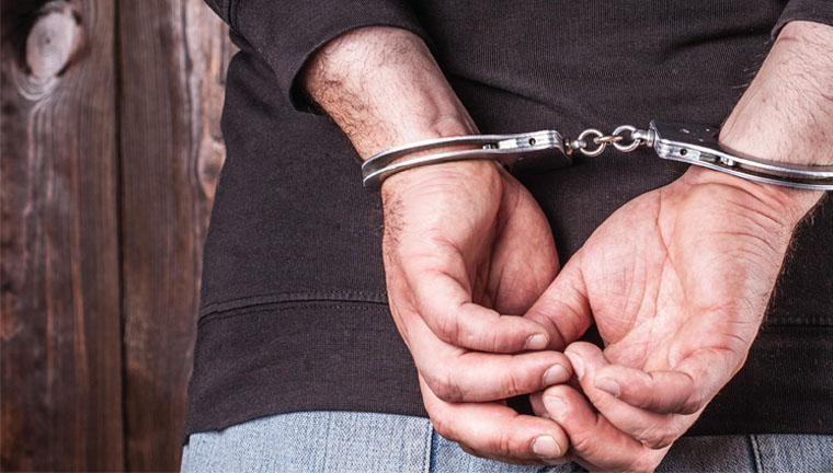 Homem é condenado por agredir e enforcar cachorra em Santa Catarina 