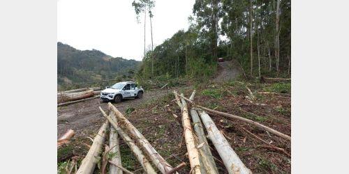 Homem é notificado em Ituporanga ao impedir a passagem de veículos enquanto fazia extração de madeira 