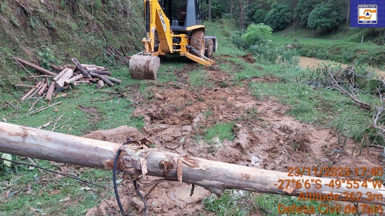 Homem fica ferido após queda de tronco de árvore 