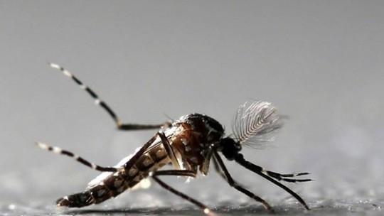 Homem morre com suspeita de dengue grave em Itajaí