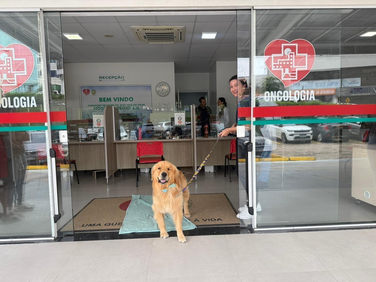 Hospital Regional implanta cãoterapia na oncologia em Rio do Sul