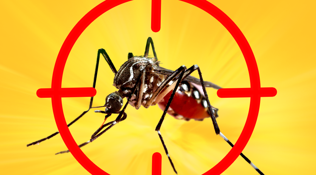 Ibirama intensifica combate ao Aedes aegypti após 201 focos registrados em 2024