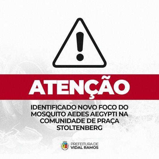 Identificado foco do mosquito Aedes Aegypti na região da cebola