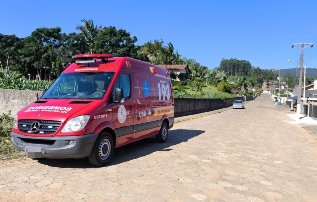 Idoso é encontrado morto com centenas de picadas de abelhas, em José Boiteux