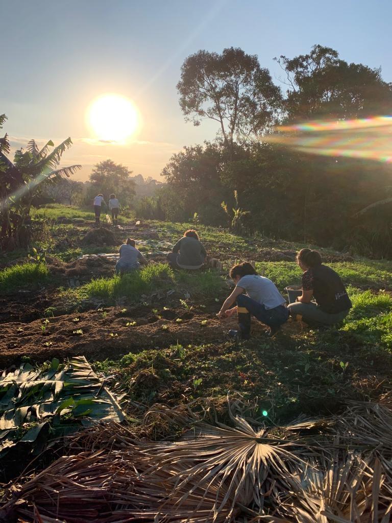 IFC de Rio do Sul abre inscrições para curso técnico em Agroecologia voltado a agricultores familiares
