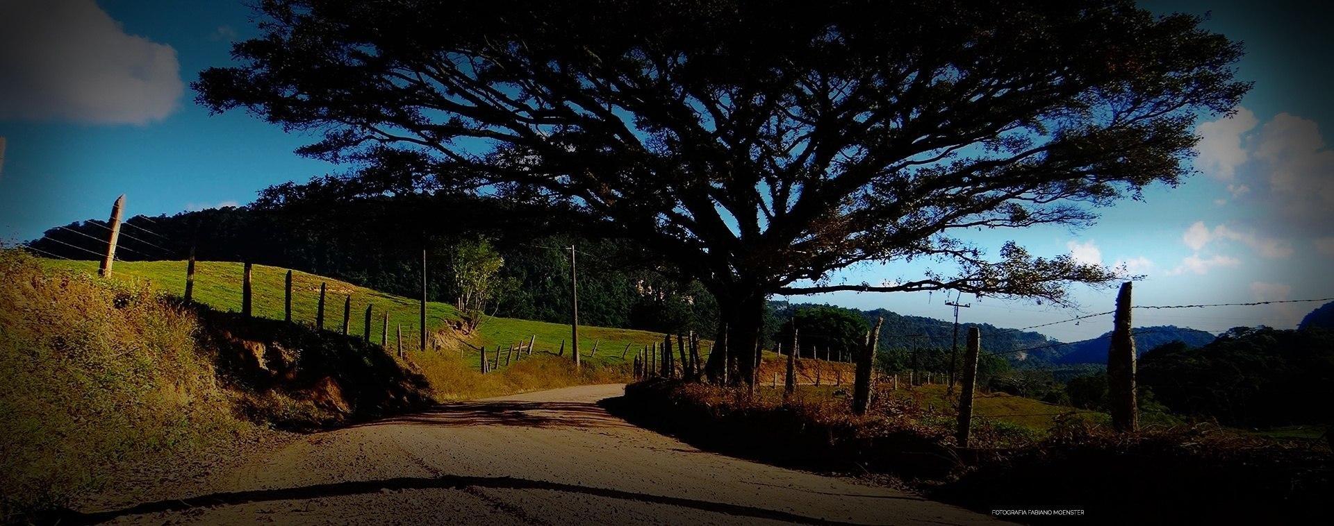 Imbuia lança concurso de fotografia em comemoração aos 63 anos do município