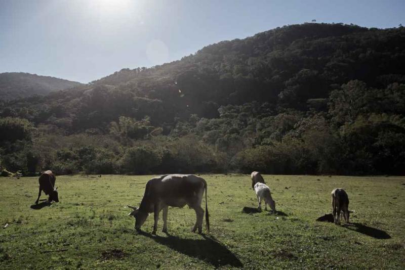 Imposto Territorial Rural: prazo para entrega da declaração começa nesta segunda-feira (12) 