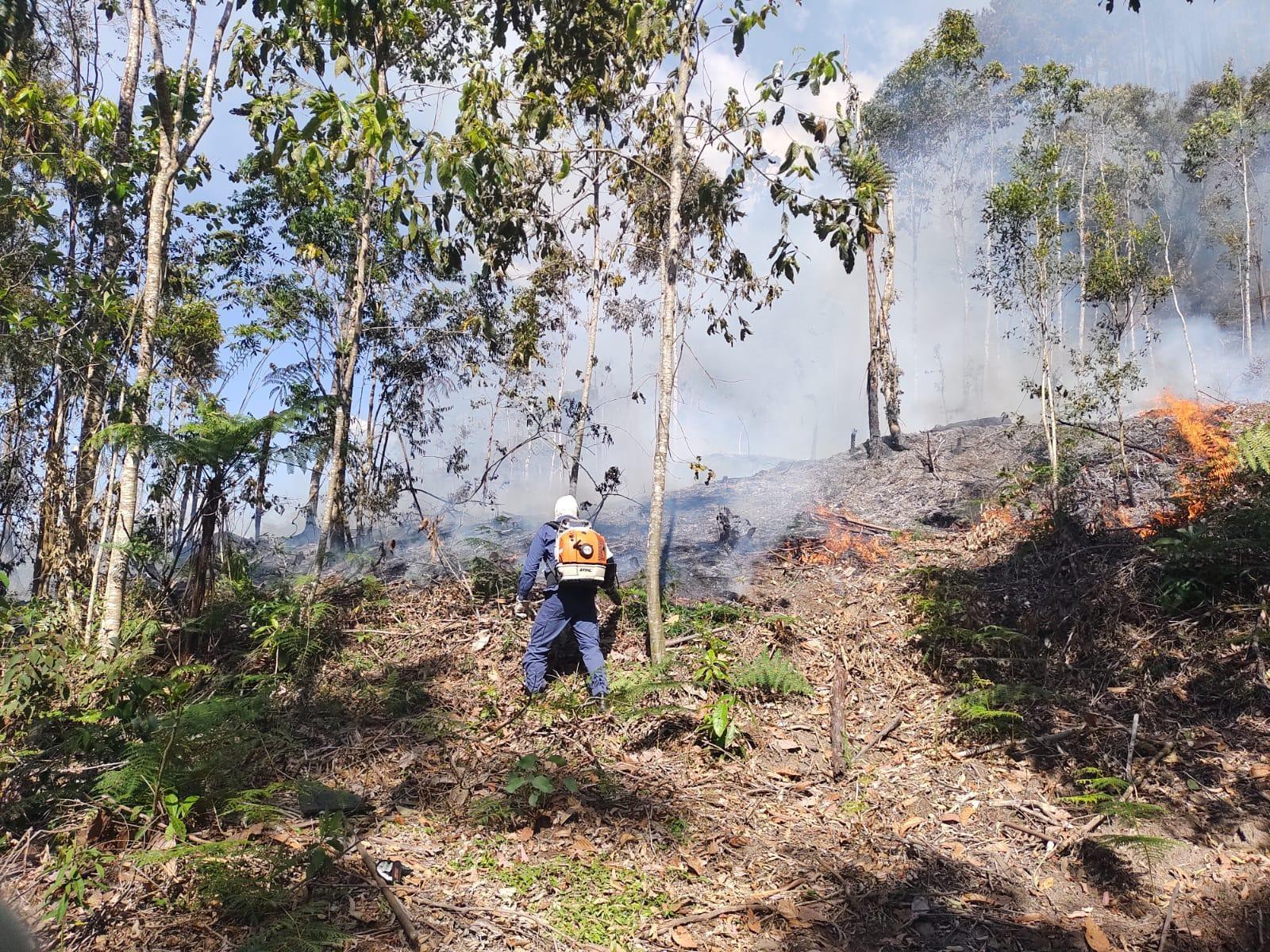 Incêndio atinge área de cerca de 40 mil metros no Alto Vale 