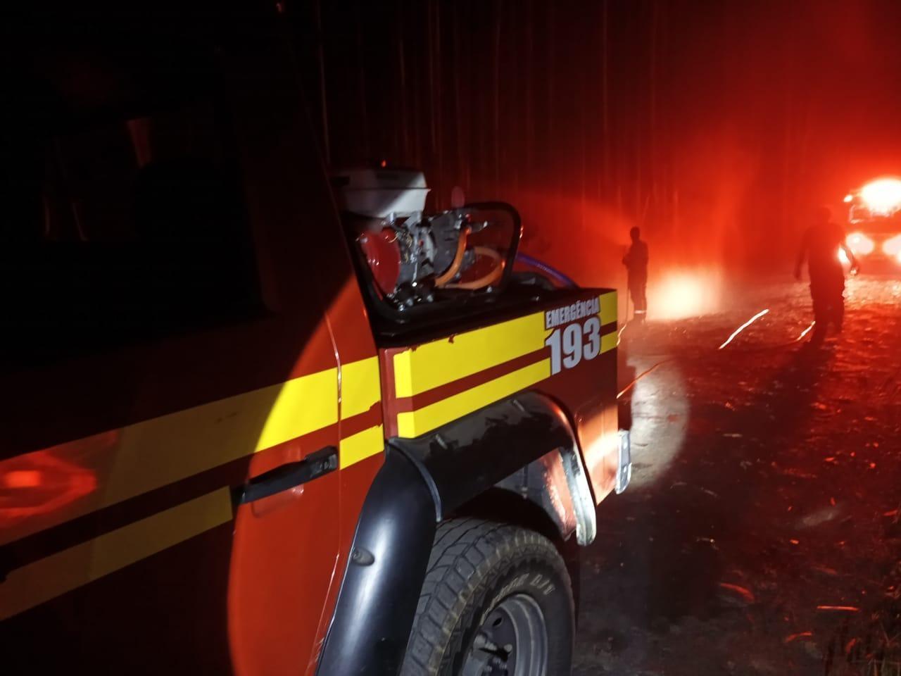 Incêndio atinge reflorestamento de eucalipto em Alfredo Wagner 