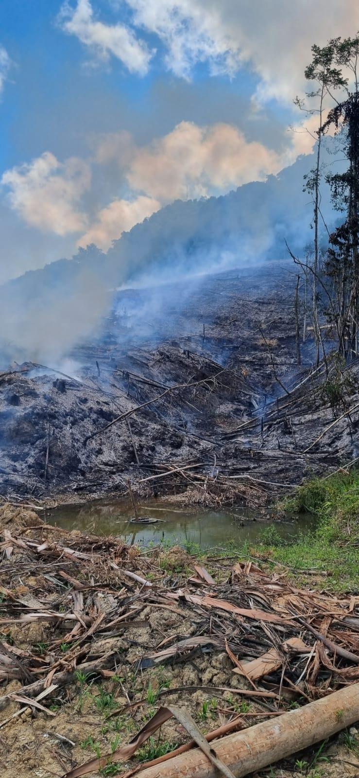 Incêndio florestal consome 10 mil m² de área em Rio do Sul