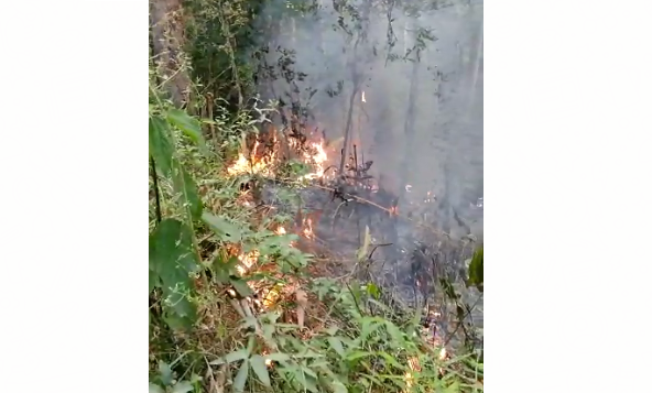 Incêndios em vegetação mobilizam bombeiros de Ituporanga