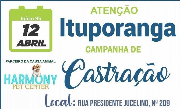 Inscrições estão abertas para castração de cães e gatos em Ituporanga