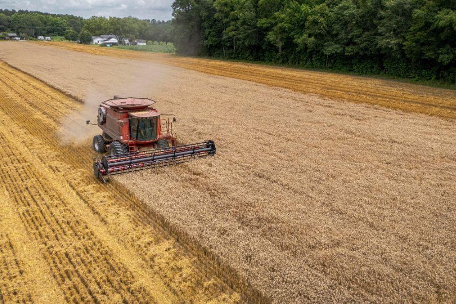 ITR 2024: prazo para declaração começou dia 12 de agosto e vai até 30 de setembro