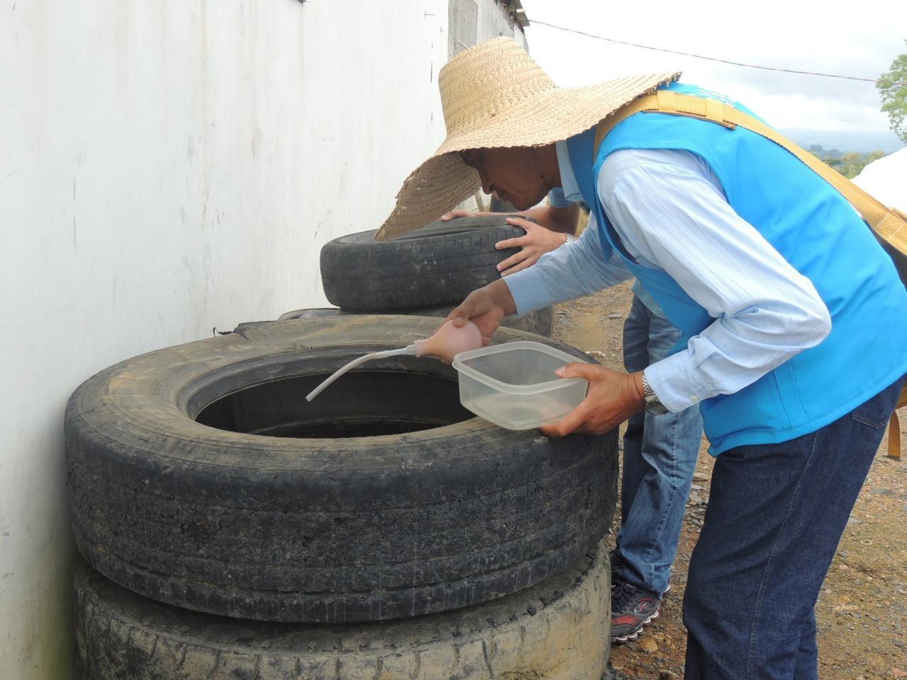 Ituporanga está em alerta com aumento de focos do mosquito Aedes aegypti