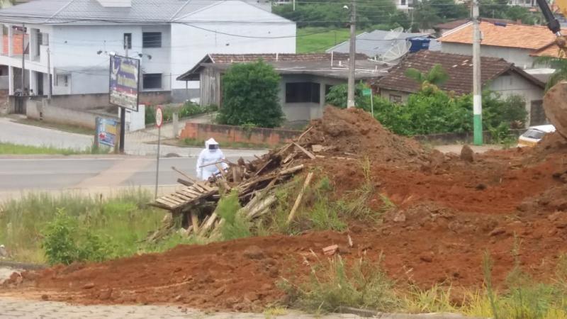 Jovem leva mais de 300 picadas de abelhas em ponto de ônibus em Presidente Getúlio