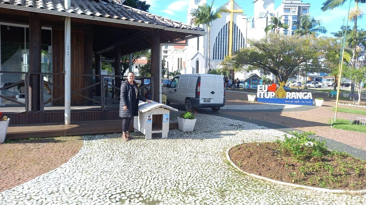 Julho Dourado leva castração, adoção e entrega de casinhas a Ituporanga 