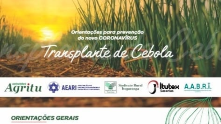 Lançado material educativo com orientações sobre plantio de cebola durante pandemia