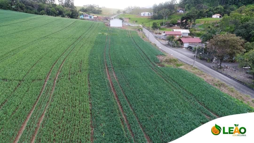 Leão Agropecuária promove Dia de Campo em Ituporanga