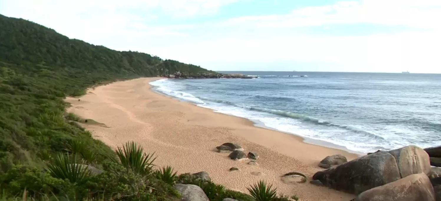 Leilão de terrenos à beira de praia deserta de Balneário Camboriú é suspenso