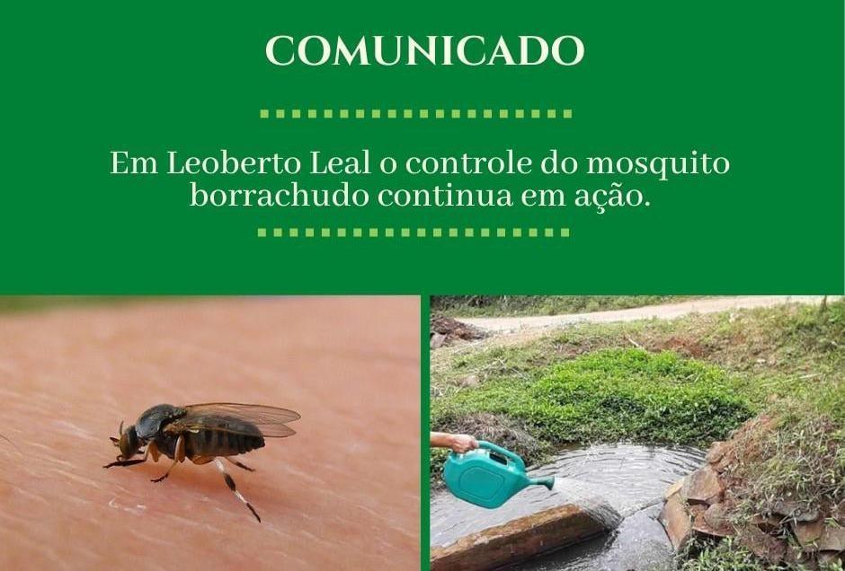 Leoberto Leal finaliza aplicação de BTI no combate ao borrachudo no sábado (11)