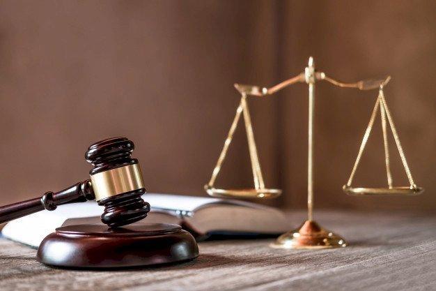 Mãe e filho são condenados por manter cadela ferida ao relento, no Alto Vale do Itajaí