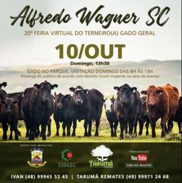 Mais de 500 animas já estão confirmados para venda na 20ª Feira do gado em Alfredo Wagner