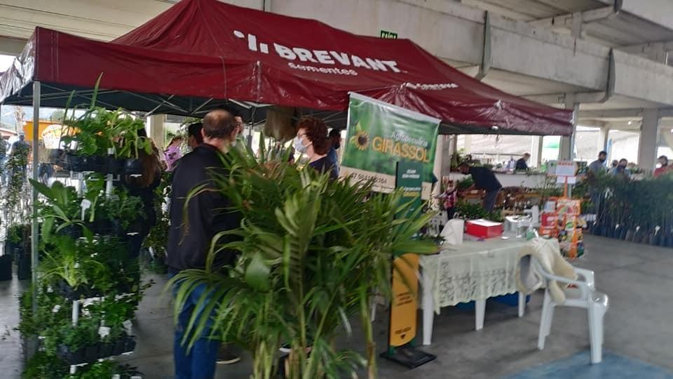 Mais de três mil pessoas prestigiam o 2º Feirão de Mudas Frutíferas Ornamentais e Artesanato em Ituporanga