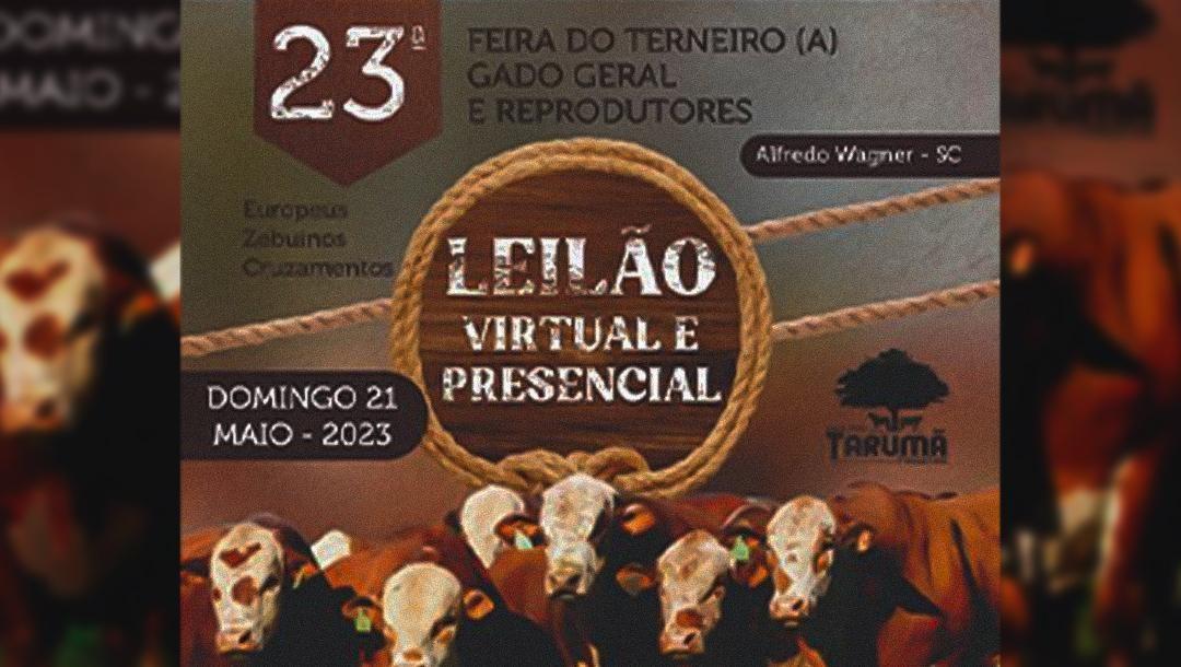 Mais uma edição da Feira do Gado vai ser realizado no dia 21 de maio em Alfredo Wagner 