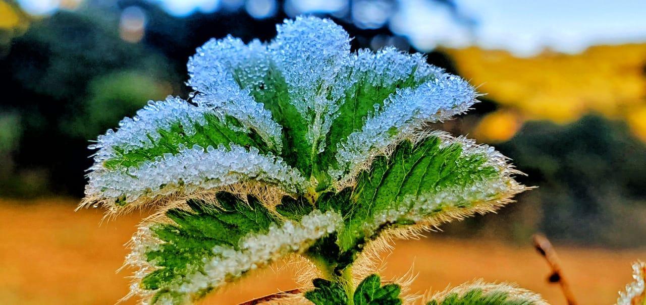 Meteorologia mantém previsão de neve entre sexta e sábado em SC
