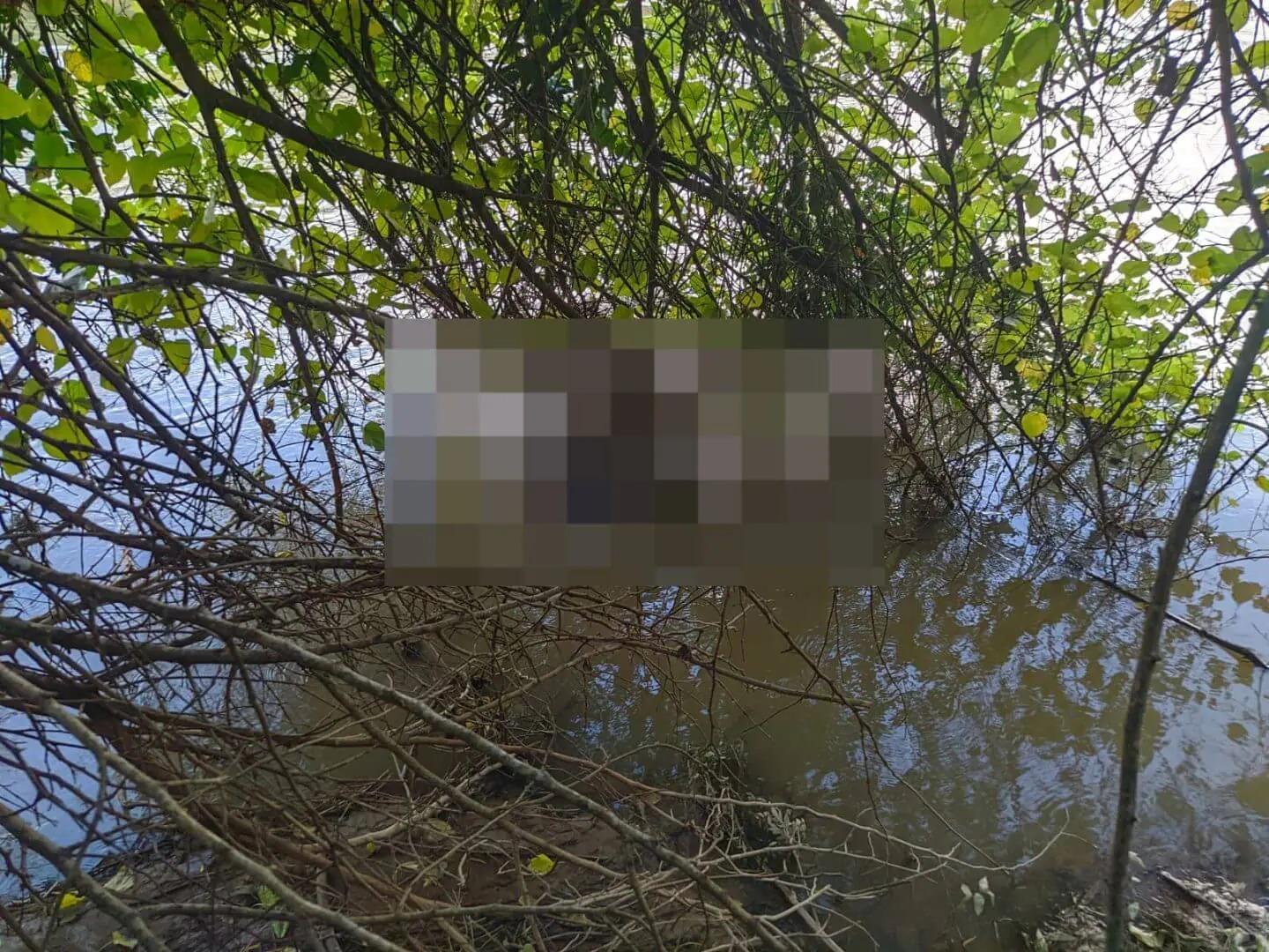 Morador de Ibirama vai roçar quintal e encontra homem morto