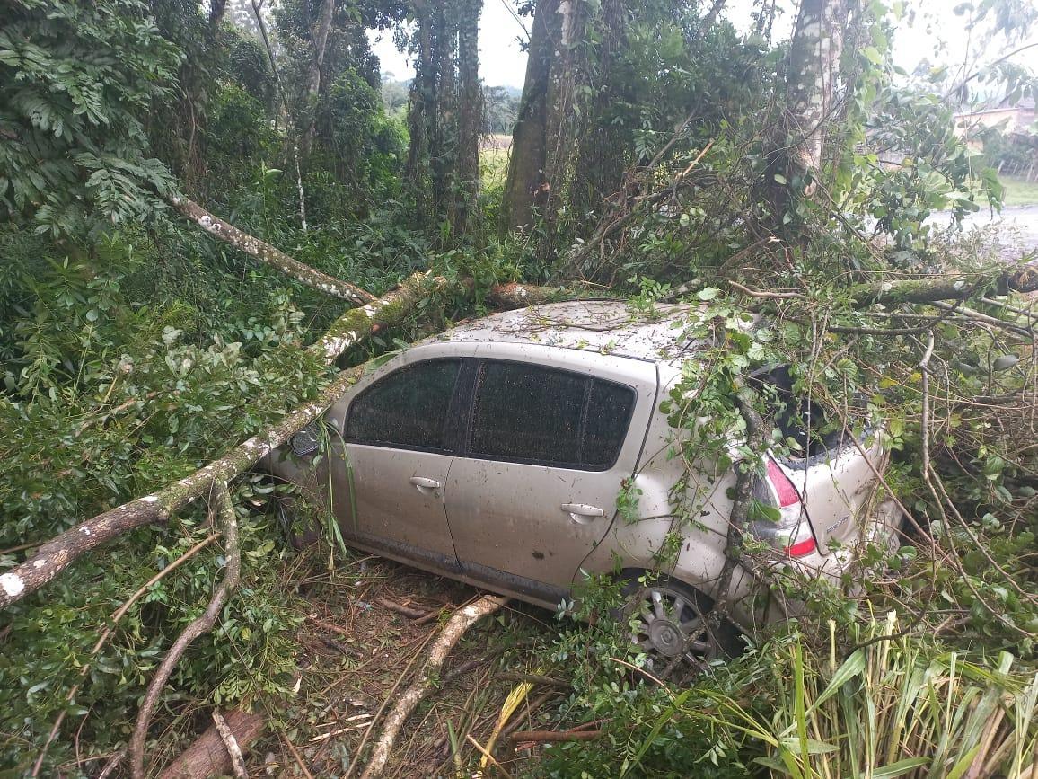 Motorista perde controle de veículo e colide em árvores na SC-110 em Petrolândia