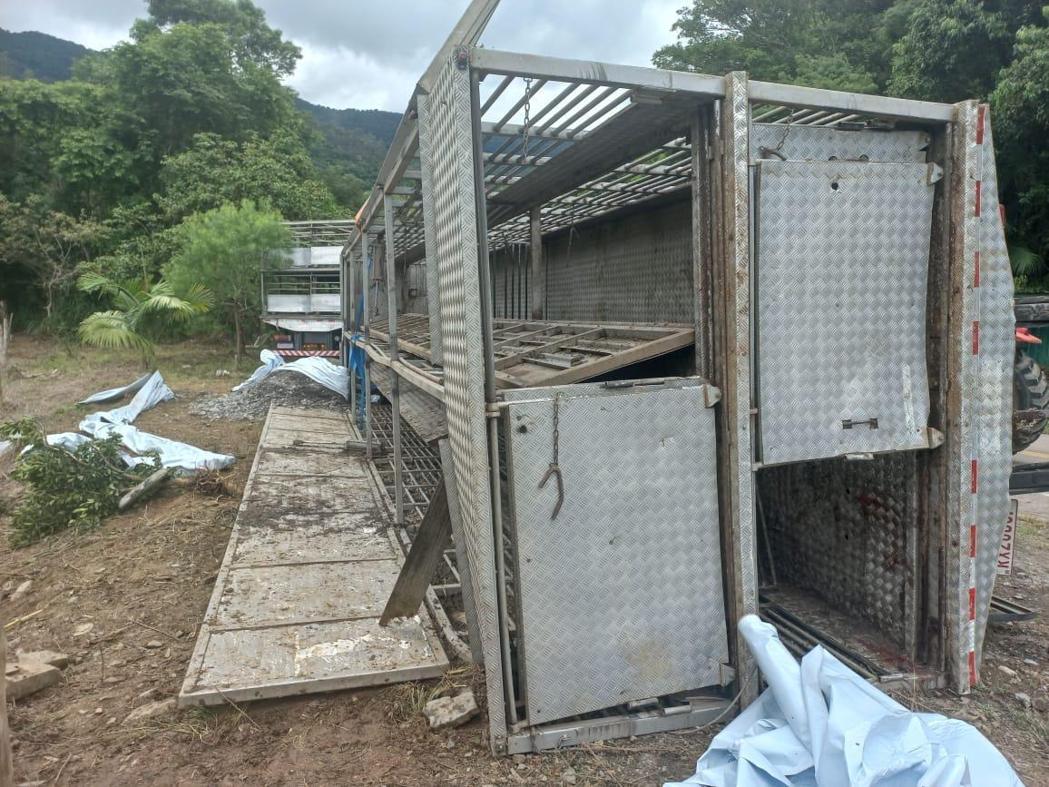 Motorista sofre acidente com caminhão de suínos na SC-110 no Alto Vale