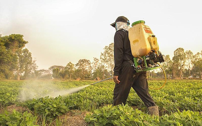 MPSC promove palestras para orientar agricultores no combate ao comércio ilegal e o uso irregular de agrotóxicos
