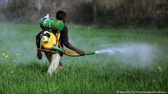 MPSC realiza palestras para orientar agricultores no combate ao comércio ilegal e o uso irregular de agrotóxicos