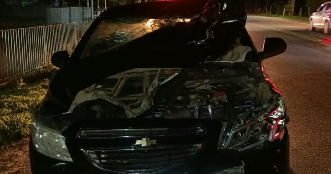 Mulher de 38 anos morre após ser atropelada no Alto Vale