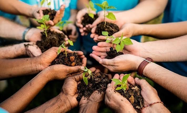 Municípios intensificam ações ambientais durante o Junho Verde no Alto Vale