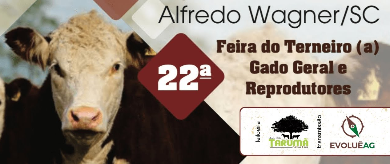 Neste domingo (9) em Alfredo Wagner acontece mais uma edição da Feira do Gado
