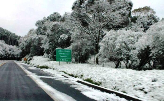 Neve cai pela primeira vez no inverno de 2022 em SC