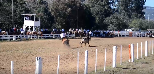 10º Cebolaço movimentou Ituporanga no último final de semana