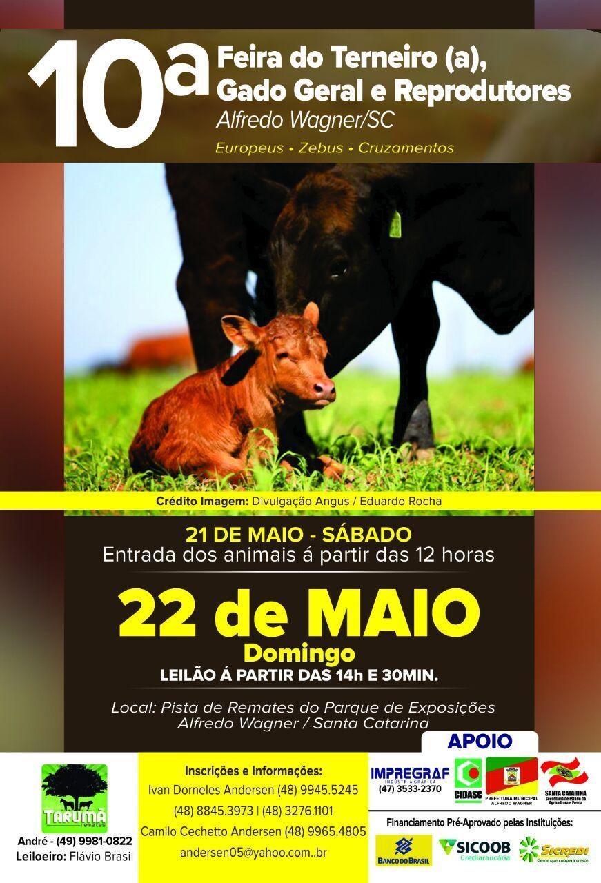 10ª Feira do Terneiro e Gado em Geral será realizada neste final de semana em Alfredo Wagner