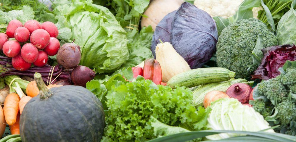 ADR de Rio do Sul trabalha na criação de consórcio de hortifrutigranjeiros orgânicos no Alto Vale do Itajaí