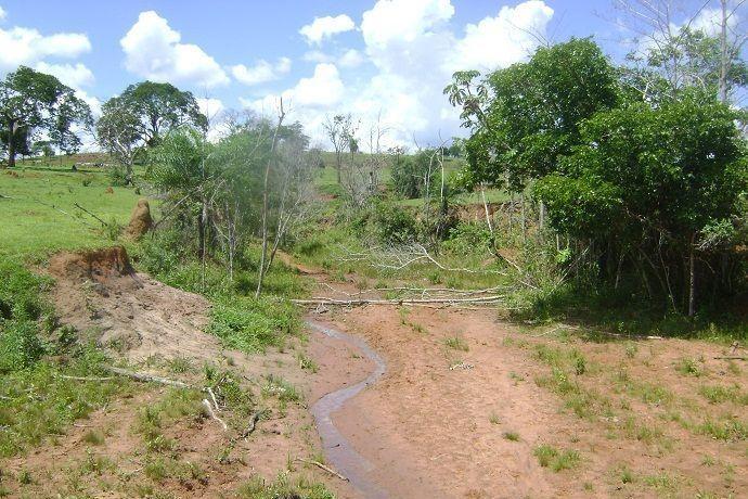 Alto Vale possui cinco mil hectares com áreas degradadas e que precisam ser restauradas