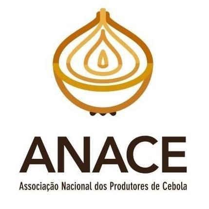 Anace pede ajuda financeira dos produtores de cebola para financiar gastos com a associação