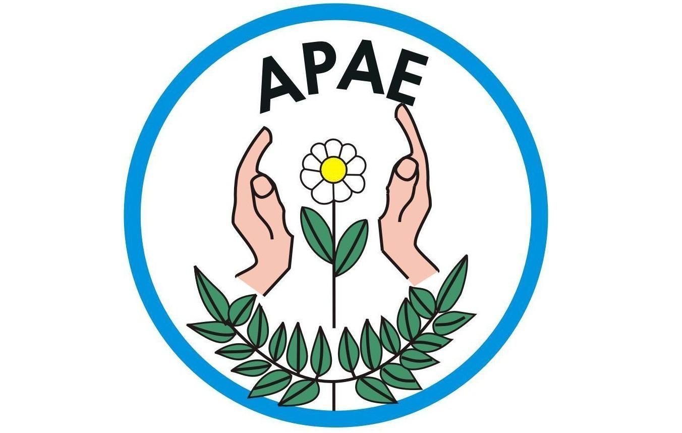 APAE de Ituporanga é classificada para Feira Nacional de Matemática