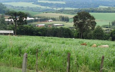 Apremavi vai oferecer curso de Planejamento Ambiental de Propriedades e Paisagens