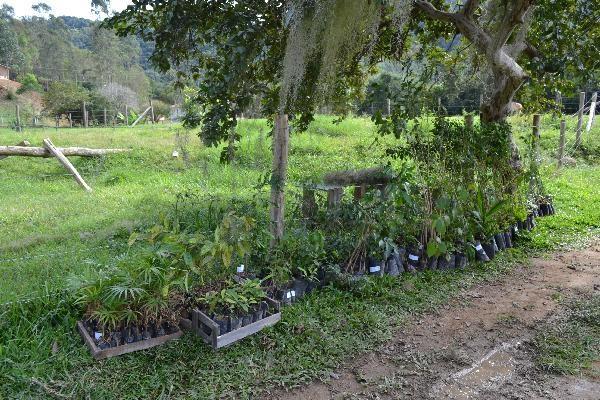 Áreas de preservação permanente serão recuperadas no Alto Vale