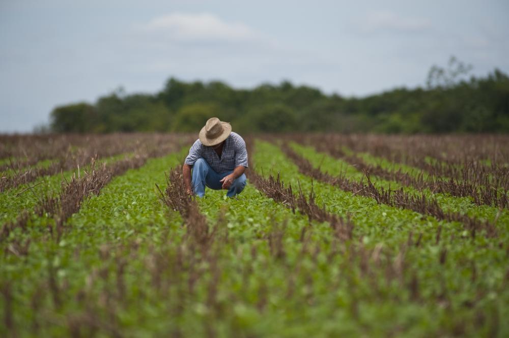 Associação de Engenheiros Agrônomos recebe honraria em Ituporanga