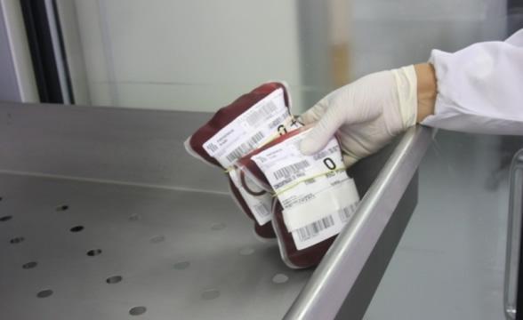 Baixo estoque de sangue pode comprometer cirurgias eletivas em Santa Catarina
